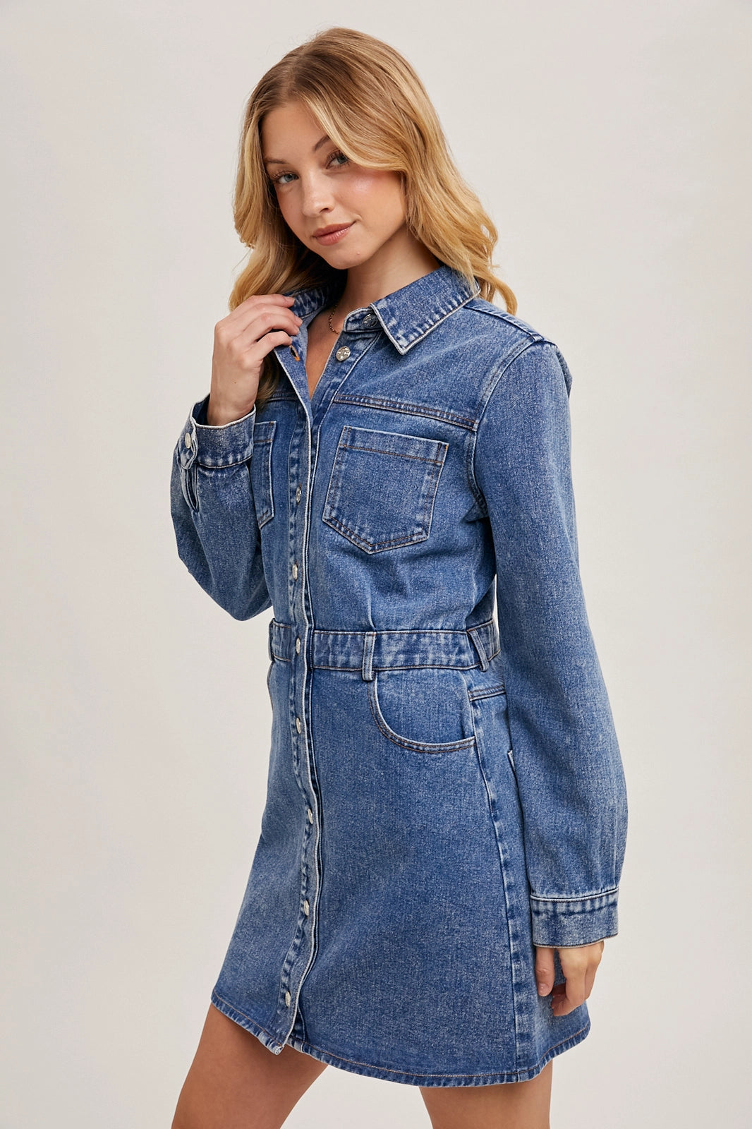 Leila Denim Dress