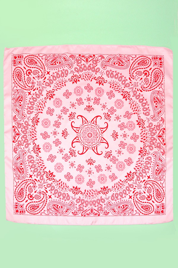 Blush Paisley Scarf