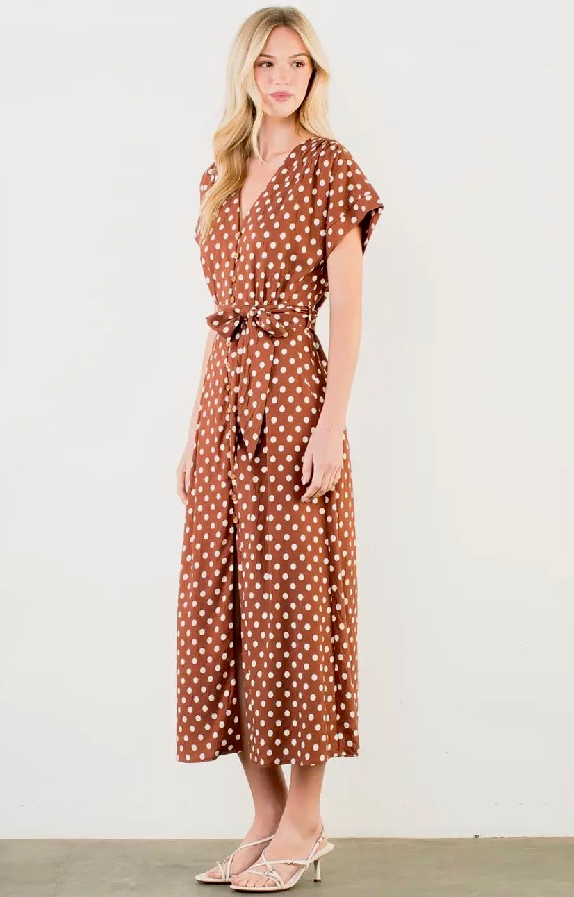 Lennox Polka Dot Dress