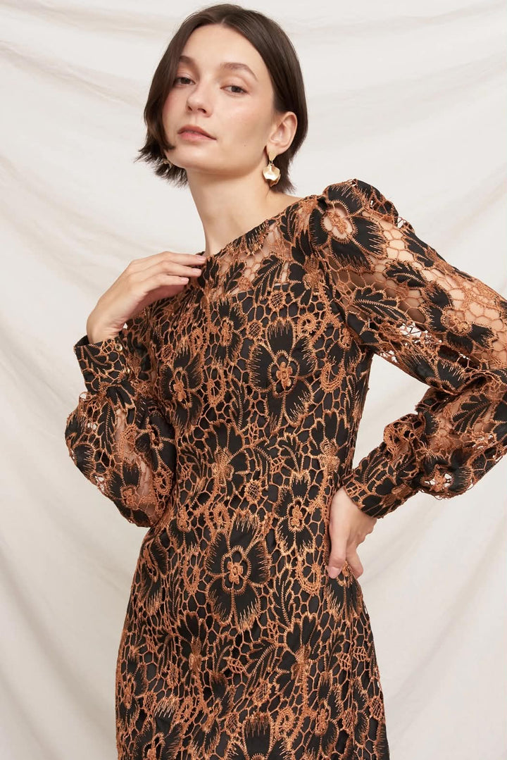 Blanche Lace Mini Dress