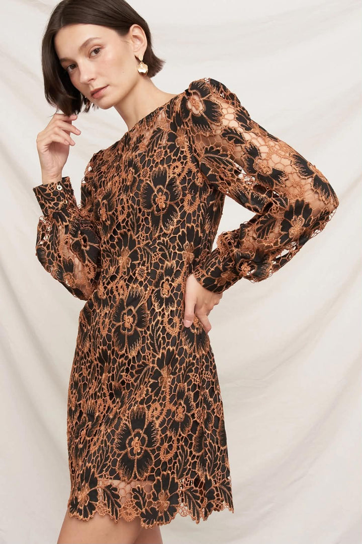 Blanche Lace Mini Dress