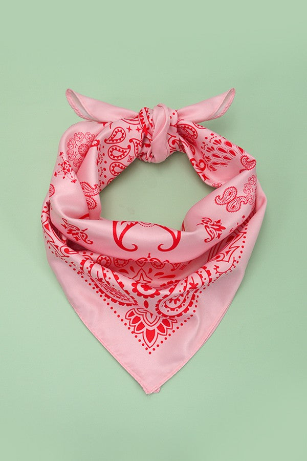 Blush Paisley Scarf