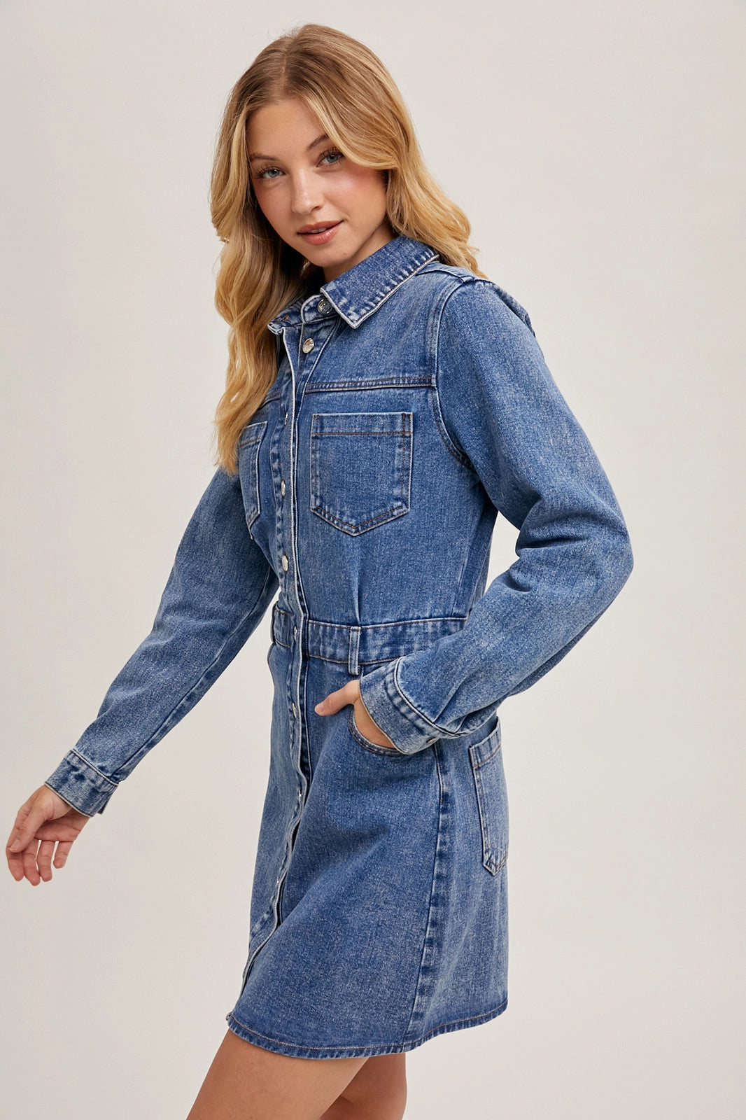 Leila Denim Dress