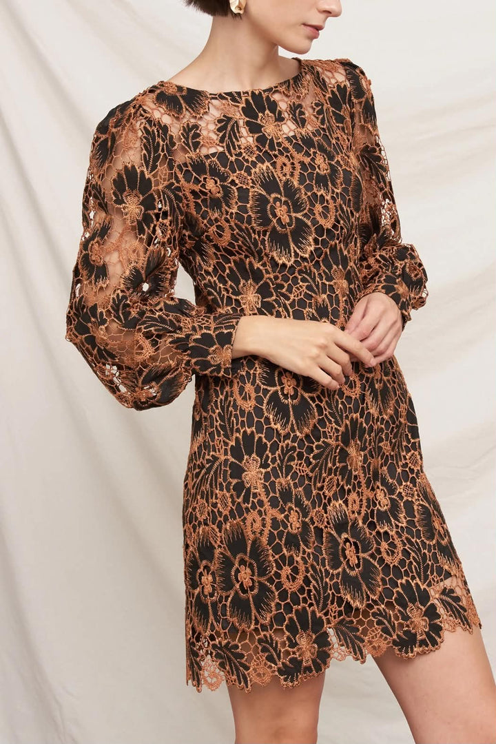 Blanche Lace Mini Dress