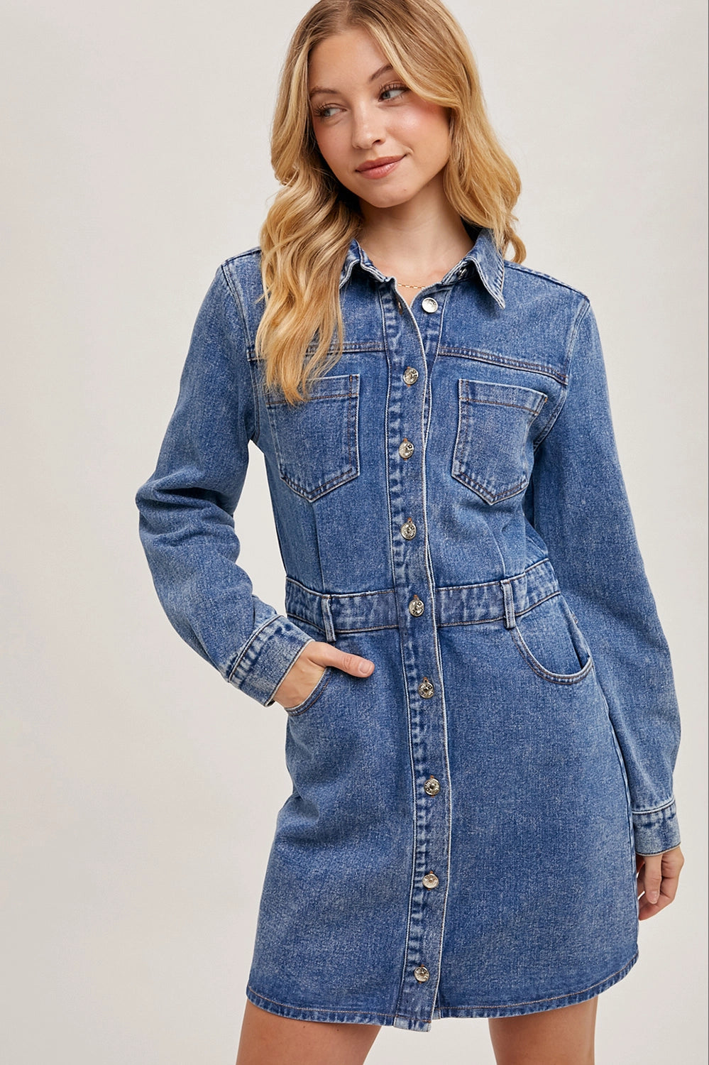 Leila Denim Dress